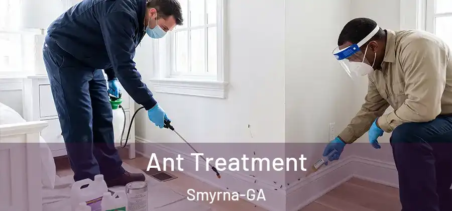 Ant Treatment Smyrna-GA