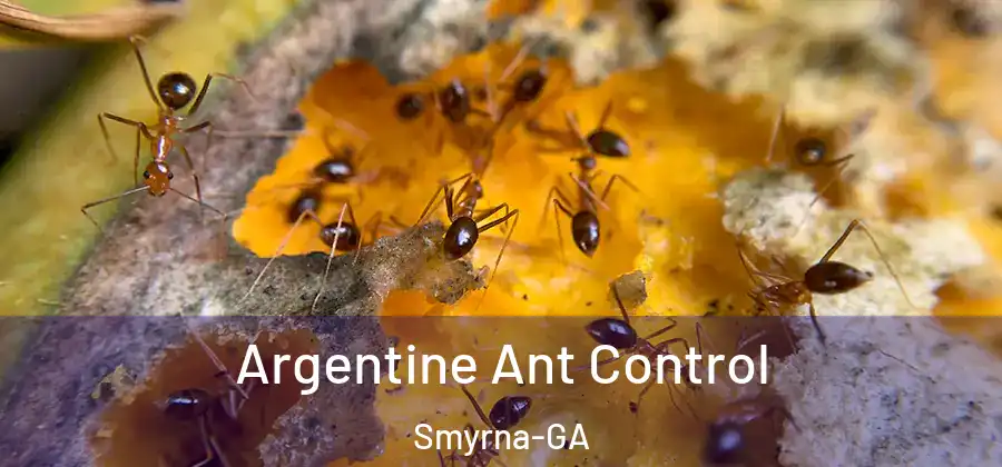  Argentine Ant Control Smyrna-GA
