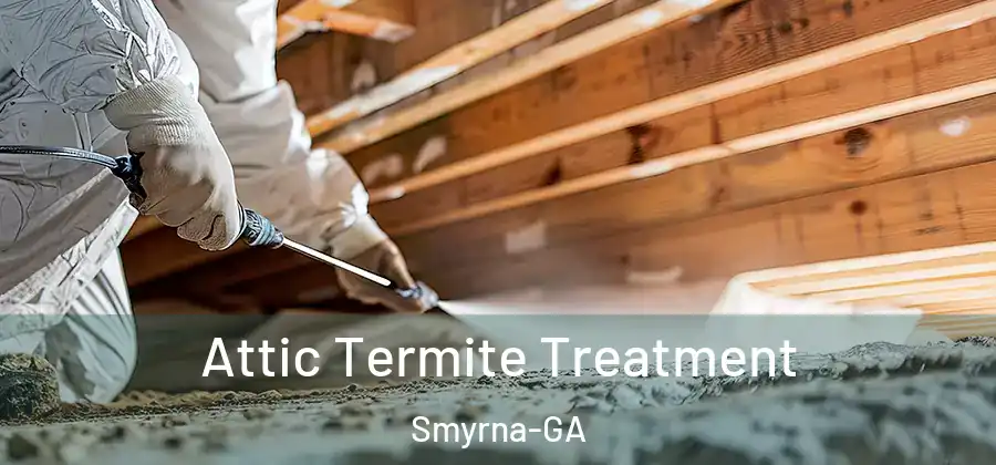Attic Termite Treatment Smyrna-GA