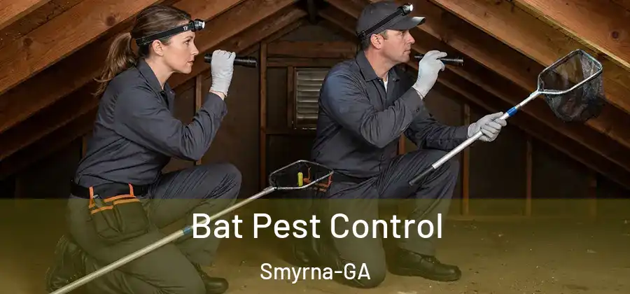 Bat Pest Control Smyrna-GA