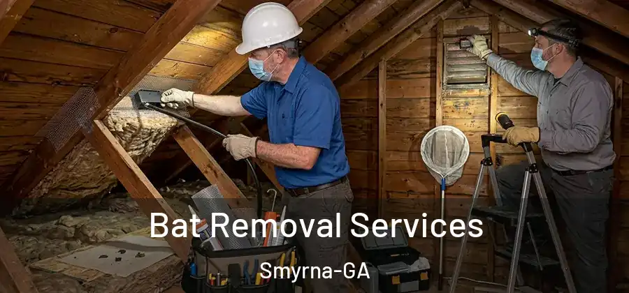Bat Removal Services Smyrna-GA