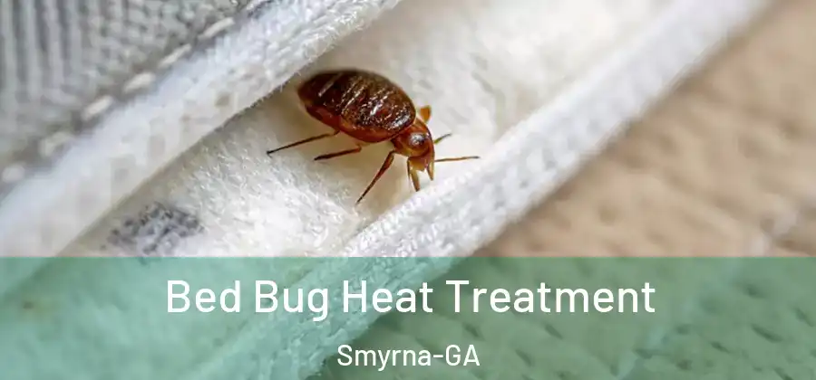 Bed Bug Heat Treatment Smyrna-GA