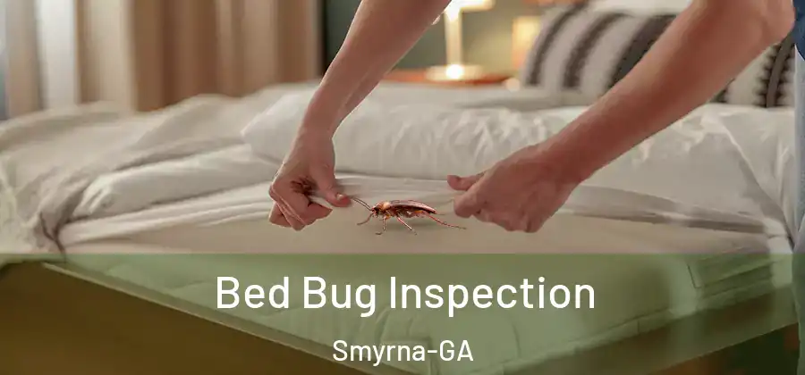  Bed Bug Inspection Smyrna-GA