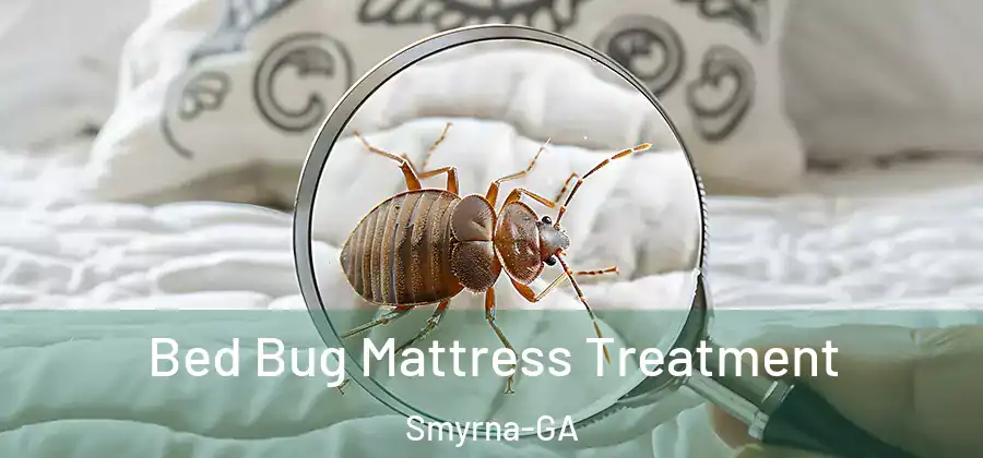 Bed Bug Mattress Treatment Smyrna-GA