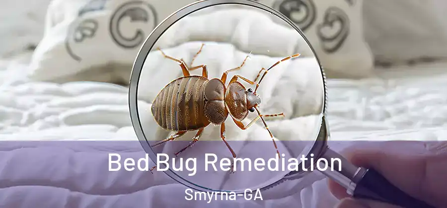 Bed Bug Remediation Smyrna-GA