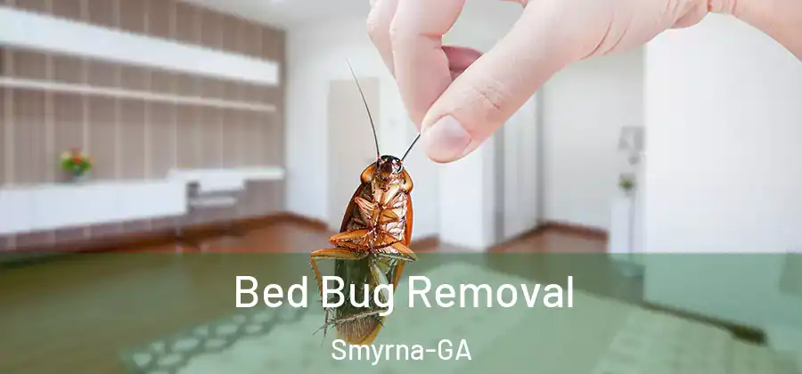 Bed Bug Removal Smyrna-GA
