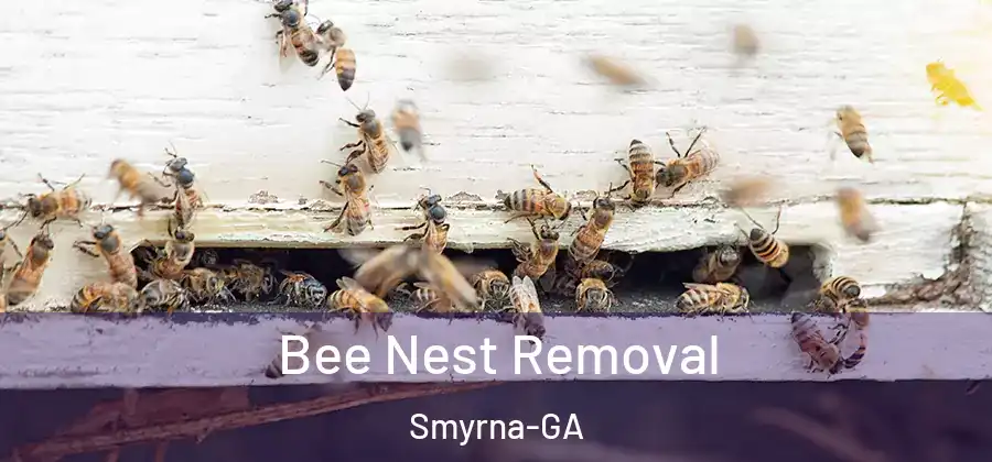  Bee Nest Removal Smyrna-GA