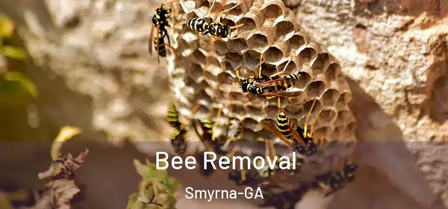 Bee Removal Smyrna-GA