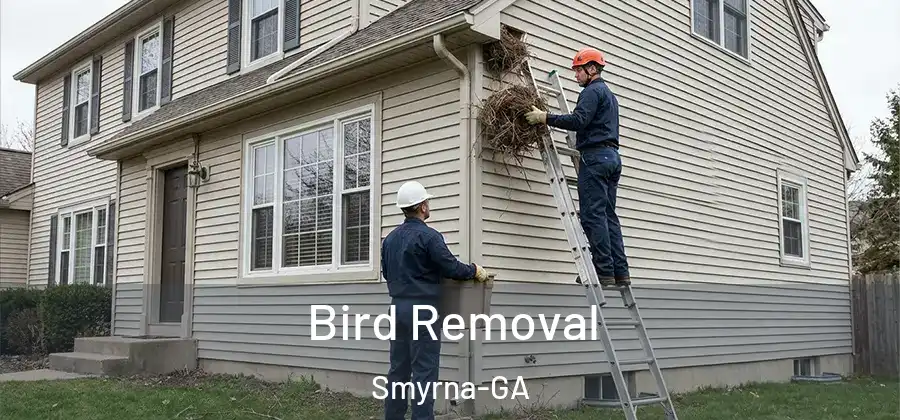  Bird Removal Smyrna-GA