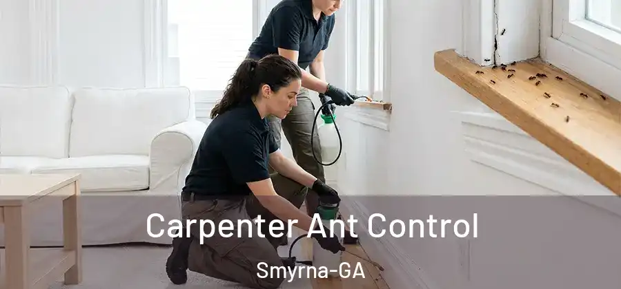  Carpenter Ant Control Smyrna-GA