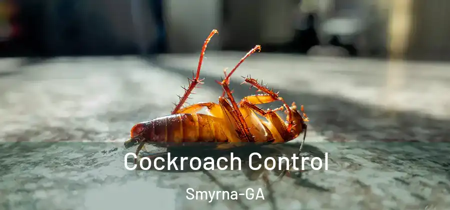 Cockroach Control Smyrna-GA