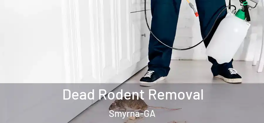  Dead Rodent Removal Smyrna-GA