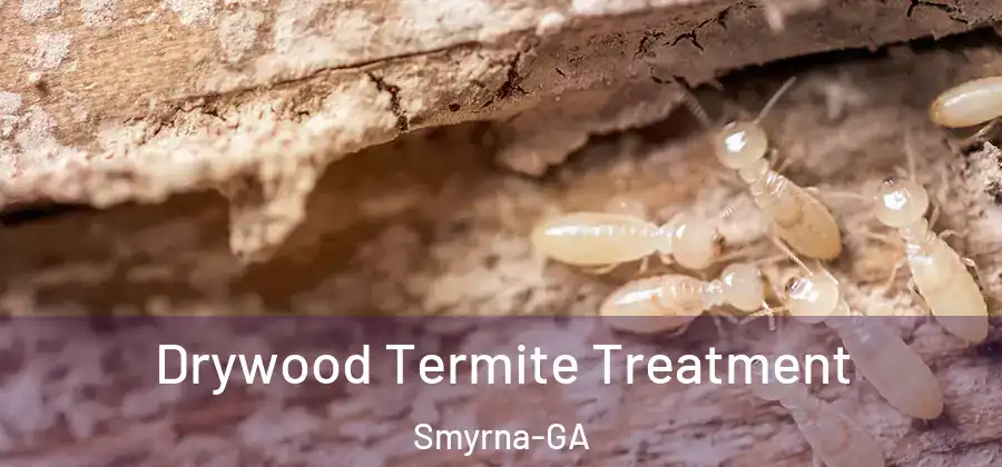 Drywood Termite Treatment Smyrna-GA