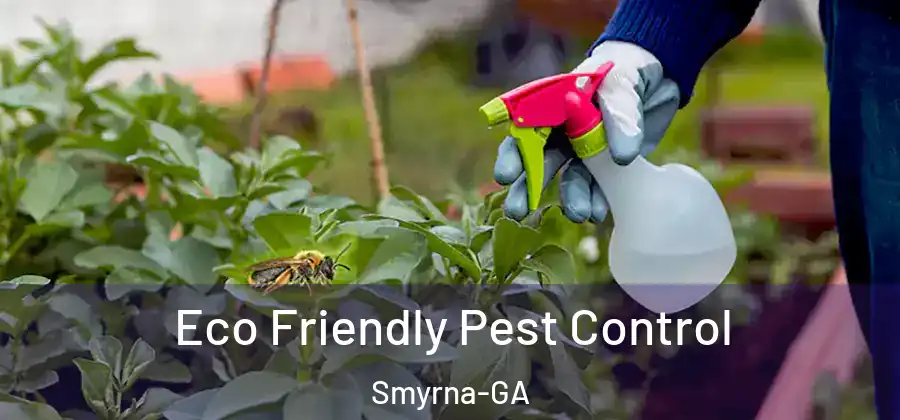 Eco Friendly Pest Control Smyrna-GA