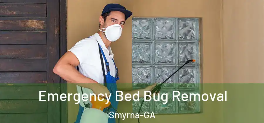  Emergency Bed Bug Removal Smyrna-GA