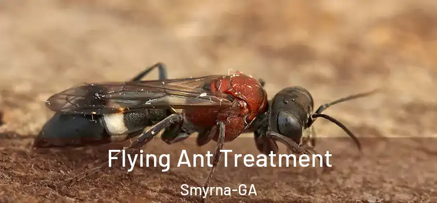 Flying Ant Treatment Smyrna-GA