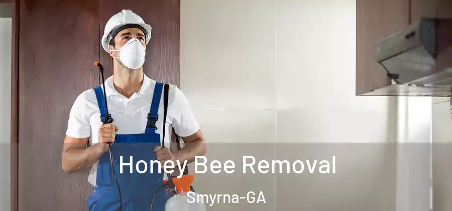 Honey Bee Removal Smyrna-GA