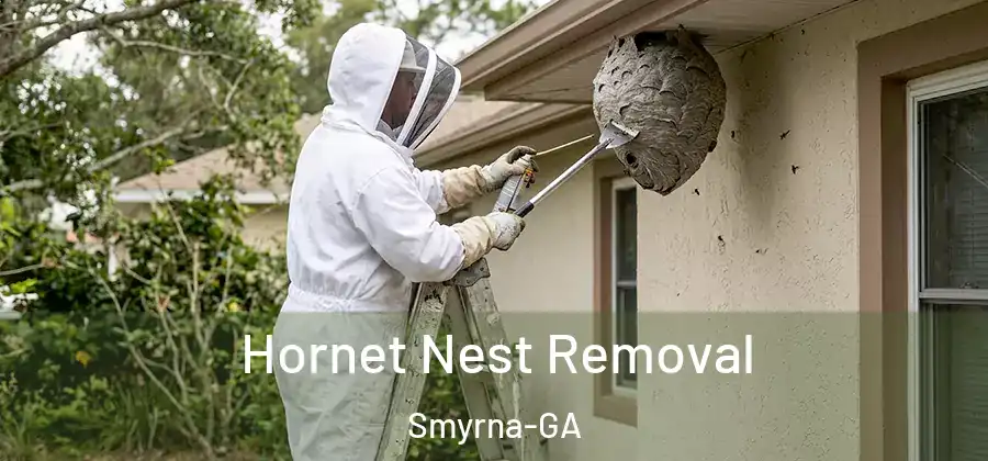 Hornet Nest Removal Smyrna-GA