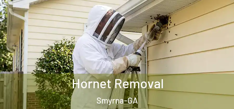  Hornet Removal Smyrna-GA