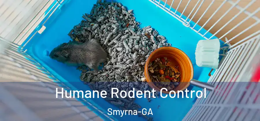  Humane Rodent Control Smyrna-GA
