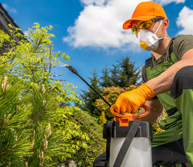 Your Mosquito Repellent Barrier Service in Smyrna, GA
