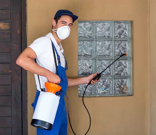 in Smyrna, GA Advanced Outdoor Pest Control Solutions by Smyrna Pest Control Pro