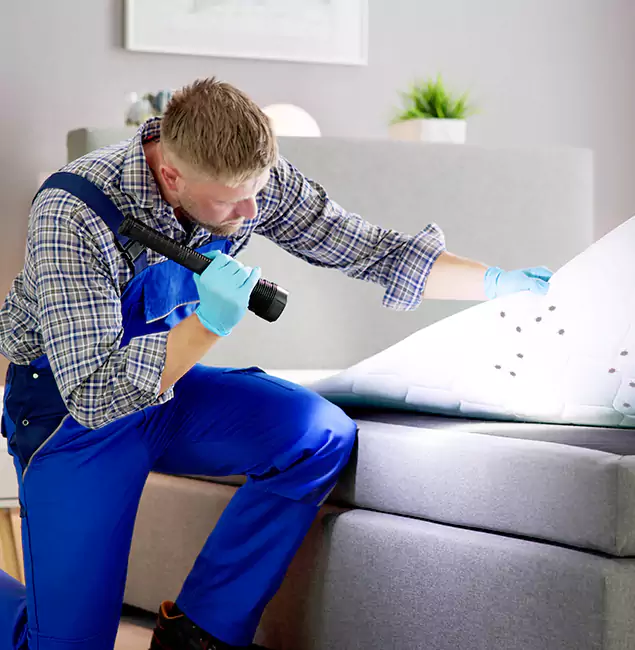 Why Choose Smyrna Pest Control Pro For Bed Bug Heat Treatment in Smyrna, GA?