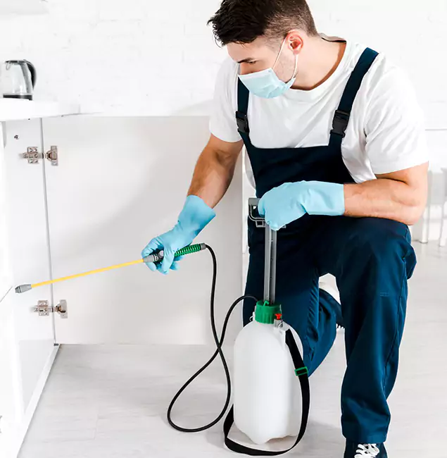 Why Choose Smyrna Pest Control Pro for Indoor Pest Control in Smyrna, GA?