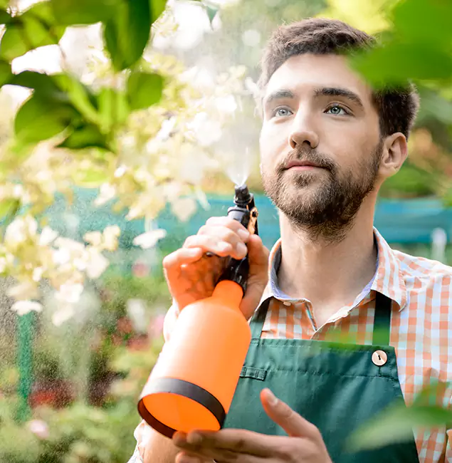 Why Smyrna Pest Control Pro Is the Best Mosquito Control Company in Smyrna, GA?