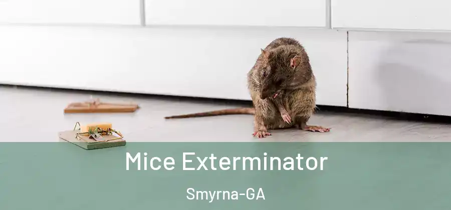 Mice Exterminator Smyrna-GA