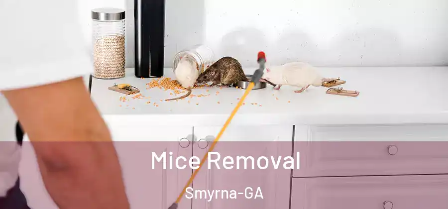  Mice Removal Smyrna-GA