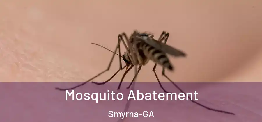Mosquito Abatement Smyrna-GA