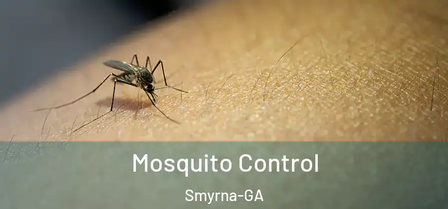 Mosquito Control Smyrna-GA