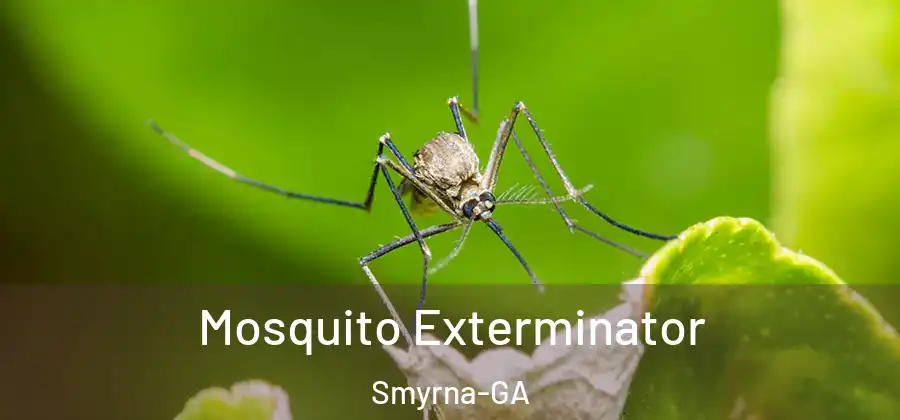  Mosquito Exterminator Smyrna-GA