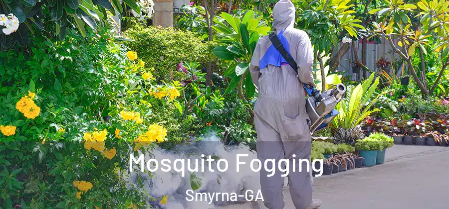 Mosquito Fogging Smyrna-GA