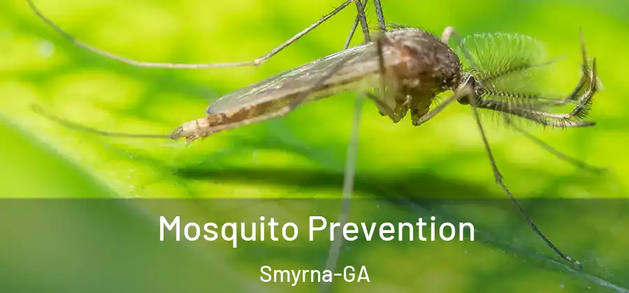  Mosquito Prevention Smyrna-GA