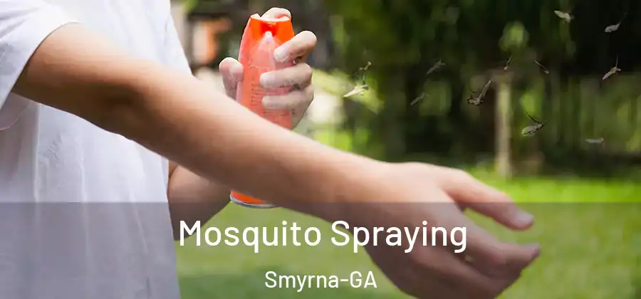  Mosquito Spraying Smyrna-GA