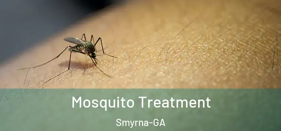 Mosquito Treatment Smyrna-GA