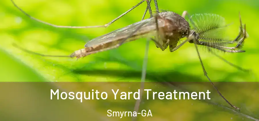  Mosquito Yard Treatment Smyrna-GA