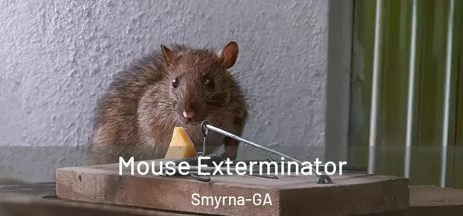 Mouse Exterminator Smyrna-GA