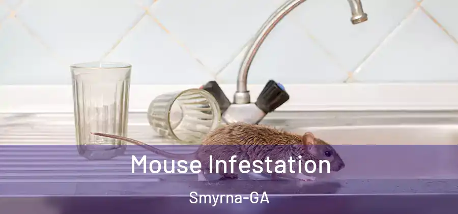  Mouse Infestation Smyrna-GA