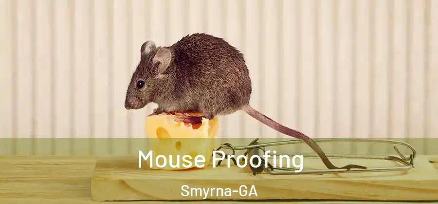 Mouse Proofing Smyrna-GA