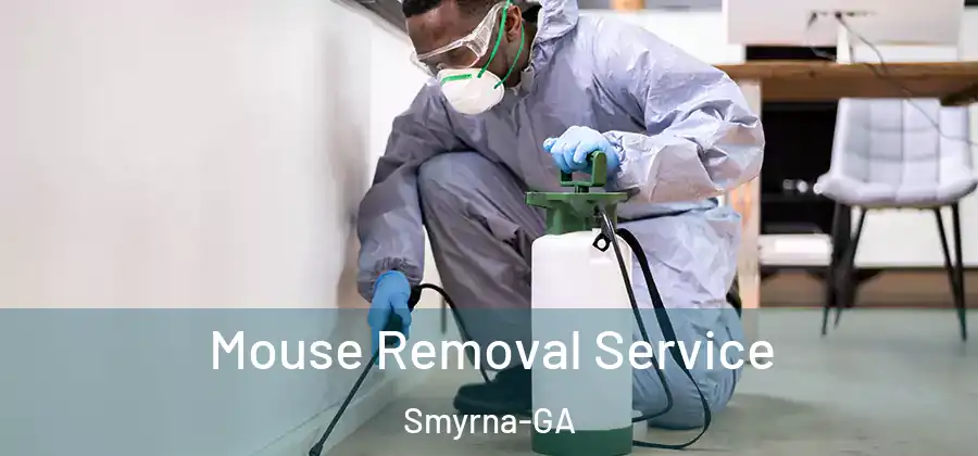 Mouse Removal Service Smyrna-GA