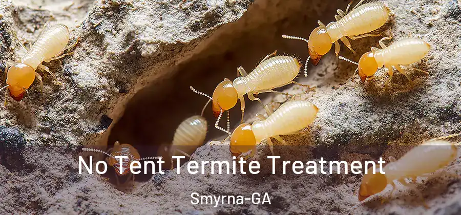 No Tent Termite Treatment Smyrna-GA