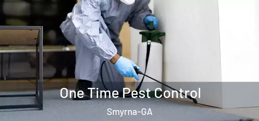 One Time Pest Control Smyrna-GA
