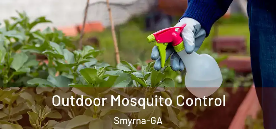  Outdoor Mosquito Control Smyrna-GA