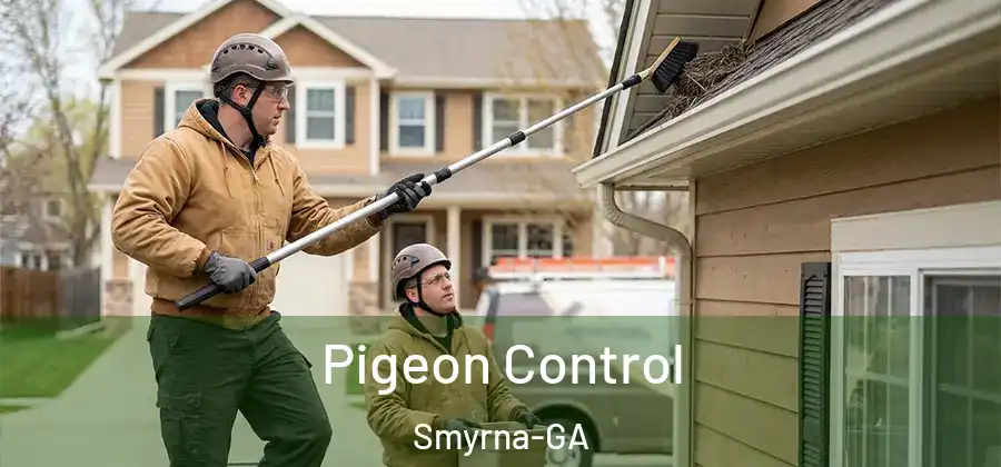  Pigeon Control Smyrna-GA