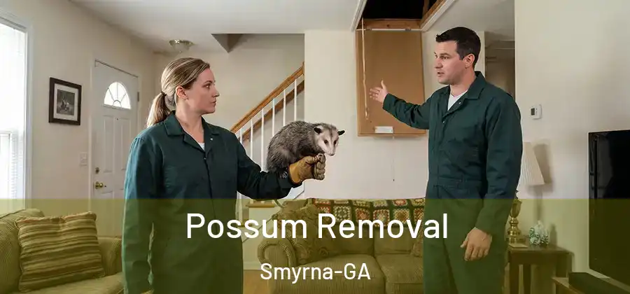  Possum Removal Smyrna-GA