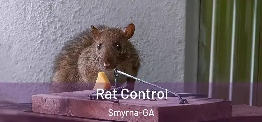  Rat Control Smyrna-GA