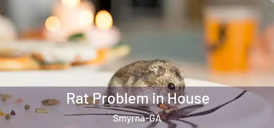 Rat Problem in House Smyrna-GA